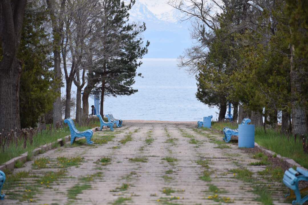 Academic counseling services Kyrgyzstan