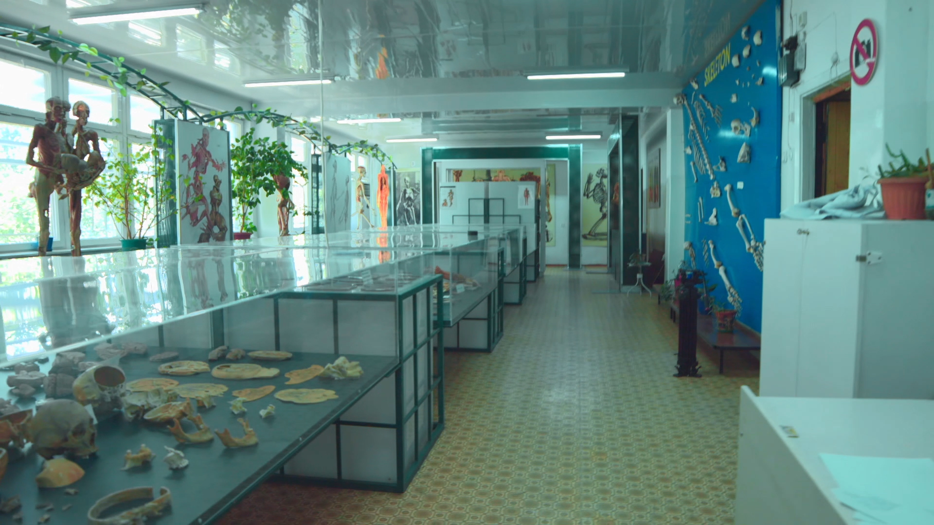 Academic counseling services Kyrgyzstan